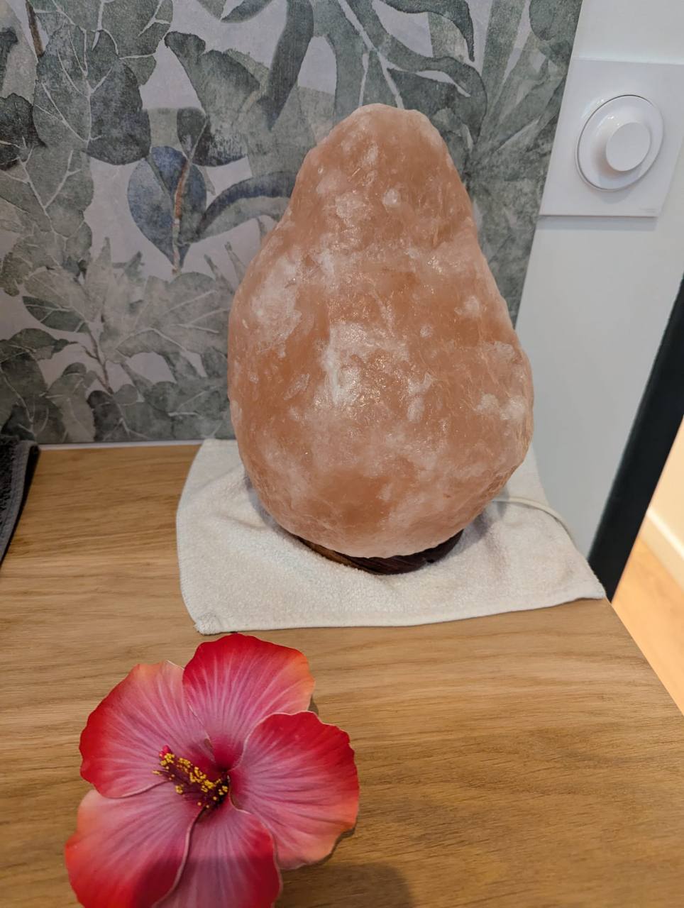 Lampe de sel et fleur d’hibiscus dans le cabinet NATURASOI