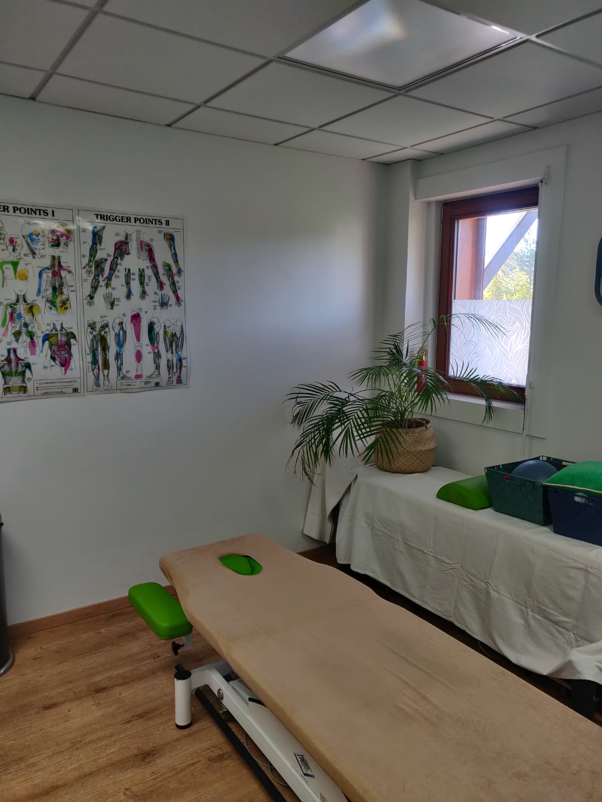 Écriture sur un carnet dans une ambiance zen