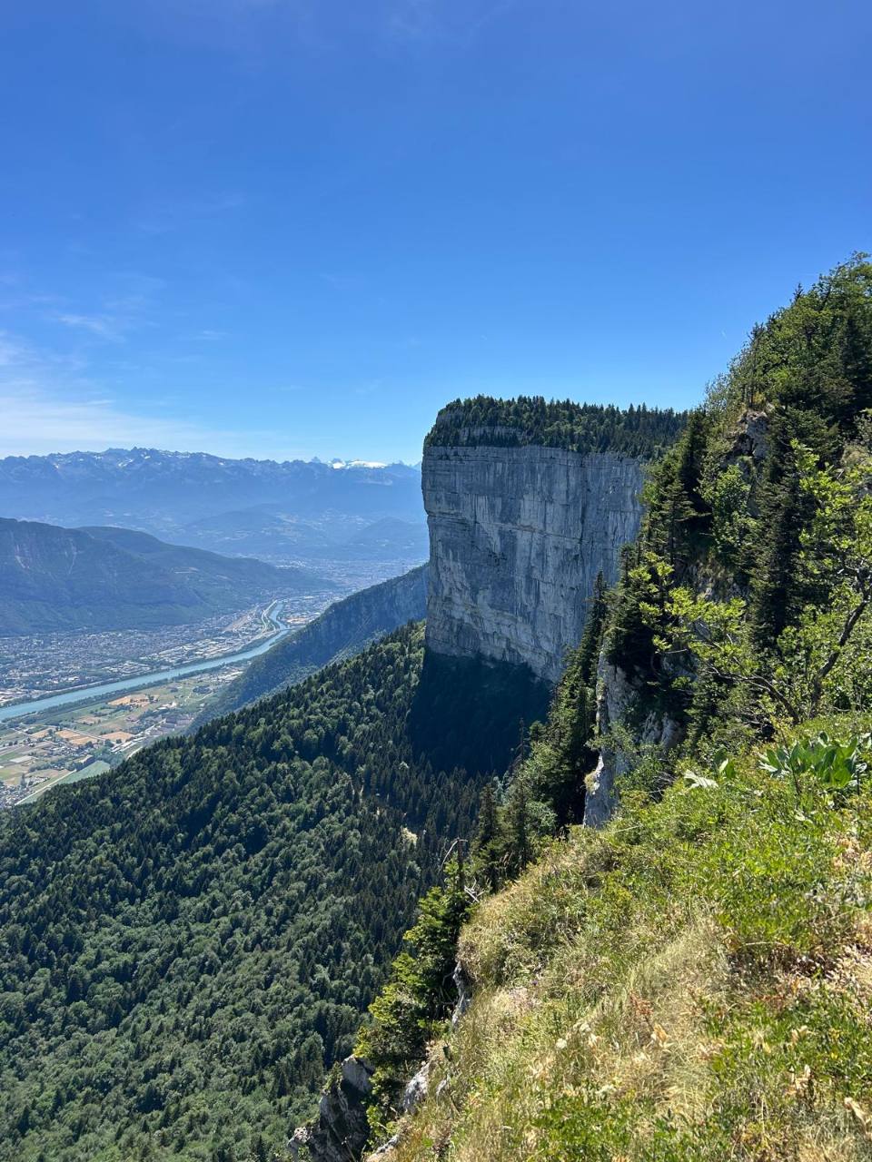Falaises et forêt du Vercors sous un ciel bleu